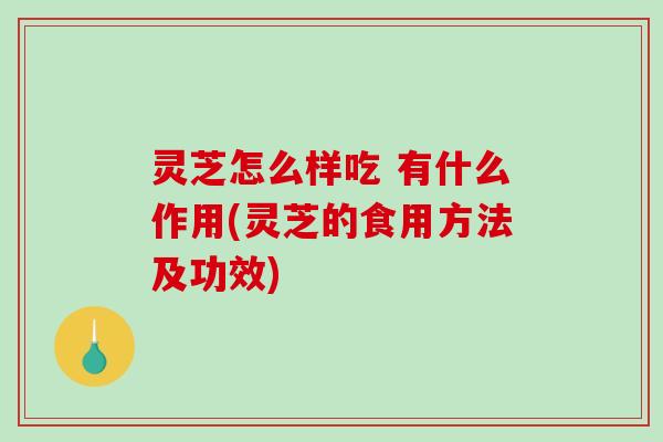 灵芝怎么样吃 有什么作用(灵芝的食用方法及功效)-第1张图片-破壁灵芝孢子粉研究指南 灵芝怎么样吃 有什么作用(灵芝的食用方法及功效)-第1张图片-破壁灵芝孢子粉研究指南
