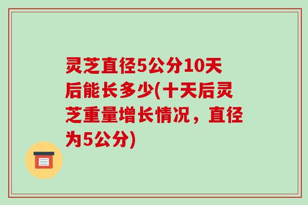 灵芝直径5公分10天后能长多少(十天后灵芝重量增长情况,直径为5公分)-第1张图片-破壁灵芝孢子粉研究指南 灵芝直径5公分10天后能长多少(十天后灵芝重量增长情况,直径为5公分)-第1张图片-破壁灵芝孢子粉研究指南
