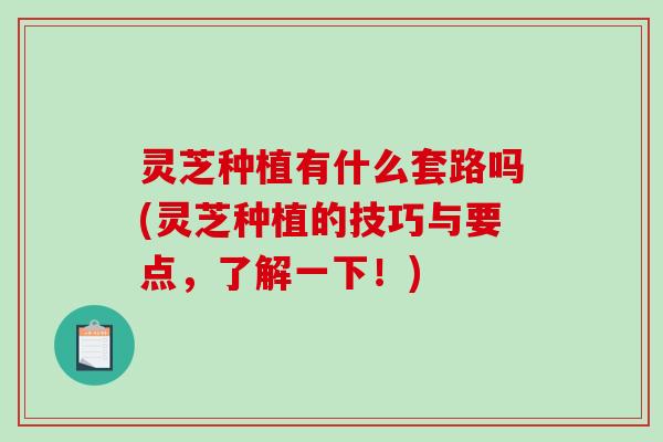 灵芝种植有什么套路吗(灵芝种植的技巧与要点，了解一下！)-第1张图片-破壁灵芝孢子粉研究指南