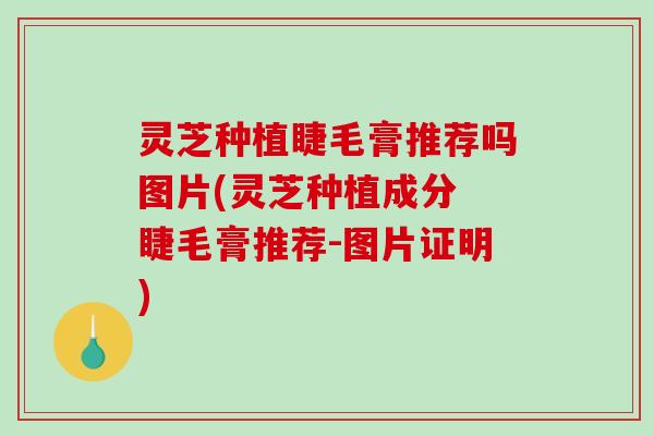 灵芝种植睫毛膏推荐吗图片(灵芝种植成分 睫毛膏推荐-图片证明)-第1张图片-破壁灵芝孢子粉研究指南 灵芝种植睫毛膏推荐吗图片(灵芝种植成分 睫毛膏推荐-图片证明)-第1张图片-破壁灵芝孢子粉研究指南