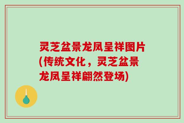 灵芝盆景龙凤呈祥图片(传统文化,灵芝盆景龙凤呈祥翩然登场)-第1张图片-破壁灵芝孢子粉研究指南 灵芝盆景龙凤呈祥图片(传统文化,灵芝盆景龙凤呈祥翩然登场)-第1张图片-破壁灵芝孢子粉研究指南
