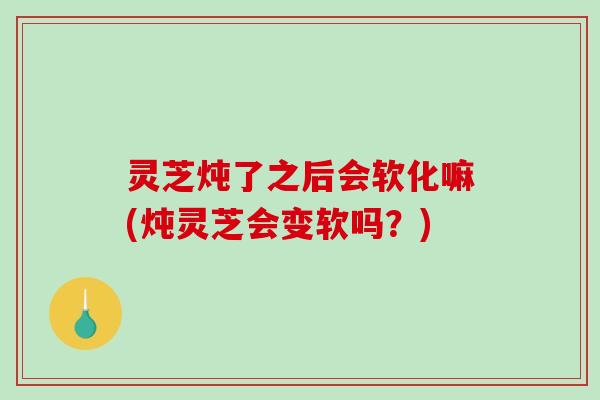 灵芝炖了之后会软化嘛(炖灵芝会变软吗?)-第1张图片-破壁灵芝孢子粉研究指南 灵芝炖了之后会软化嘛(炖灵芝会变软吗?)-第1张图片-破壁灵芝孢子粉研究指南