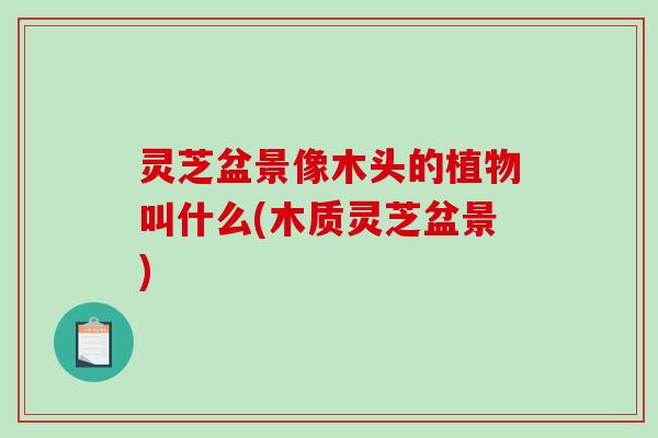 灵芝盆景像木头的植物叫什么(木质灵芝盆景)-第1张图片-破壁灵芝孢子粉研究指南 灵芝盆景像木头的植物叫什么(木质灵芝盆景)-第1张图片-破壁灵芝孢子粉研究指南