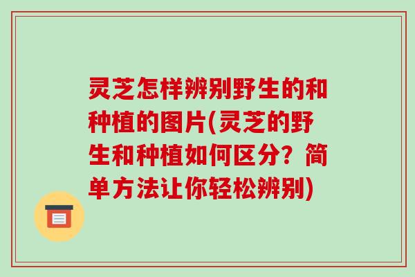 灵芝怎样辨别野生的和种植的图片(灵芝的野生和种植如何区分?简单方法让你轻松辨别)-第1张图片-破壁灵芝孢子粉研究指南 灵芝怎样辨别野生的和种植的图片(灵芝的野生和种植如何区分?简单方法让你轻松辨别)-第1张图片-破壁灵芝孢子粉研究指南