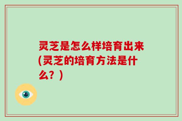 灵芝是怎么样培育出来(灵芝的培育方法是什么?)-第1张图片-破壁灵芝孢子粉研究指南 灵芝是怎么样培育出来(灵芝的培育方法是什么?)-第1张图片-破壁灵芝孢子粉研究指南