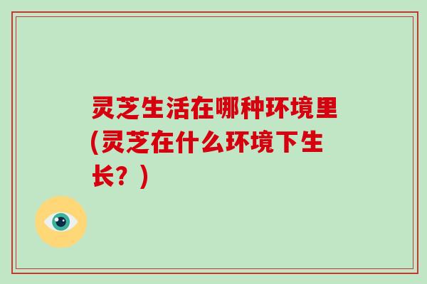 灵芝生活在哪种环境里(灵芝在什么环境下生长?)-第1张图片-破壁灵芝孢子粉研究指南 灵芝生活在哪种环境里(灵芝在什么环境下生长?)-第1张图片-破壁灵芝孢子粉研究指南
