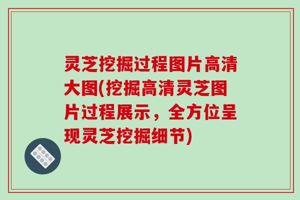 灵芝挖掘过程图片高清大图(挖掘高清灵芝图片过程展示，全方位呈现灵芝挖掘细节)-第1张图片-破壁灵芝孢子粉研究指南