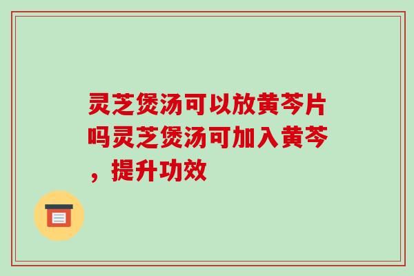 灵芝煲汤可以放黄芩片吗灵芝煲汤可加入黄芩,提升功效-第1张图片-破壁灵芝孢子粉研究指南 灵芝煲汤可以放黄芩片吗灵芝煲汤可加入黄芩,提升功效-第1张图片-破壁灵芝孢子粉研究指南