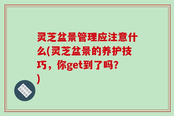 灵芝盆景管理应注意什么(灵芝盆景的养护技巧,你get到了吗?)-第1张图片-破壁灵芝孢子粉研究指南 灵芝盆景管理应注意什么(灵芝盆景的养护技巧,你get到了吗?)-第1张图片-破壁灵芝孢子粉研究指南
