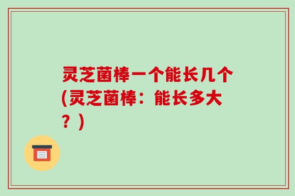 灵芝菌棒一个能长几个(灵芝菌棒:能长多大?)-第1张图片-破壁灵芝孢子粉研究指南 灵芝菌棒一个能长几个(灵芝菌棒:能长多大?)-第1张图片-破壁灵芝孢子粉研究指南