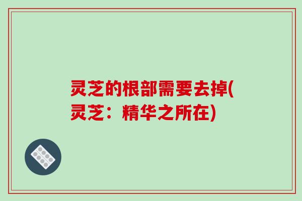灵芝的根部需要去掉(灵芝:精华之所在)-第1张图片-破壁灵芝孢子粉研究指南 灵芝的根部需要去掉(灵芝:精华之所在)-第1张图片-破壁灵芝孢子粉研究指南