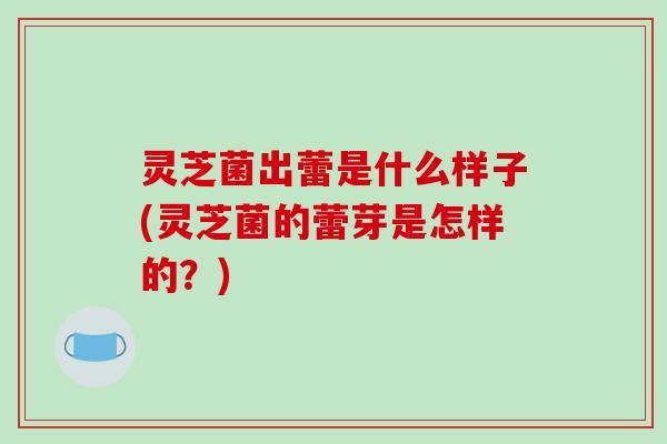 灵芝菌出蕾是什么样子(灵芝菌的蕾芽是怎样的？)-第1张图片-破壁灵芝孢子粉研究指南
