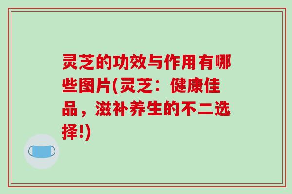 灵芝的功效与作用有哪些图片(灵芝：健康佳品，滋补养生的不二选择!)-第1张图片-破壁灵芝孢子粉研究指南