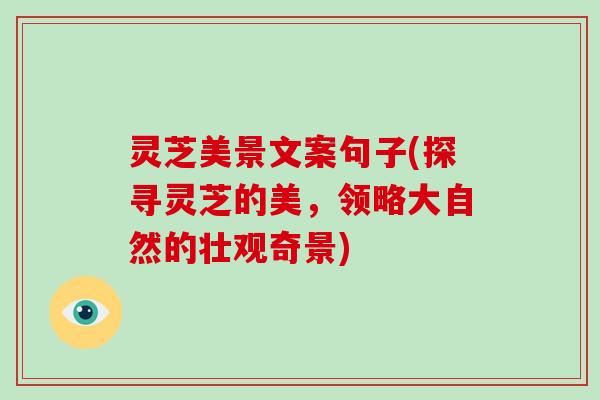 灵芝美景文案句子(探寻灵芝的美,领略大自然的壮观奇景)-第1张图片-破壁灵芝孢子粉研究指南 灵芝美景文案句子(探寻灵芝的美,领略大自然的壮观奇景)-第1张图片-破壁灵芝孢子粉研究指南