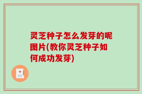 灵芝种子怎么发芽的呢图片(教你灵芝种子如何成功发芽)-第1张图片-破壁灵芝孢子粉研究指南 灵芝种子怎么发芽的呢图片(教你灵芝种子如何成功发芽)-第1张图片-破壁灵芝孢子粉研究指南