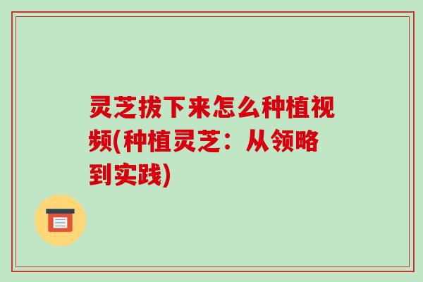 灵芝拔下来怎么种植视频(种植灵芝:从领略到实践)-第1张图片-破壁灵芝孢子粉研究指南 灵芝拔下来怎么种植视频(种植灵芝:从领略到实践)-第1张图片-破壁灵芝孢子粉研究指南
