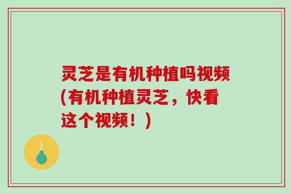 灵芝是有机种植吗视频(有机种植灵芝,快看这个视频!)-第1张图片-破壁灵芝孢子粉研究指南 灵芝是有机种植吗视频(有机种植灵芝,快看这个视频!)-第1张图片-破壁灵芝孢子粉研究指南
