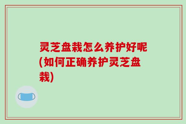 灵芝盘栽怎么养护好呢(如何正确养护灵芝盘栽)-第1张图片-破壁灵芝孢子粉研究指南 灵芝盘栽怎么养护好呢(如何正确养护灵芝盘栽)-第1张图片-破壁灵芝孢子粉研究指南