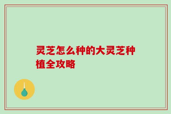 灵芝怎么种的大灵芝种植全攻略-第1张图片-破壁灵芝孢子粉研究指南 灵芝怎么种的大灵芝种植全攻略-第1张图片-破壁灵芝孢子粉研究指南
