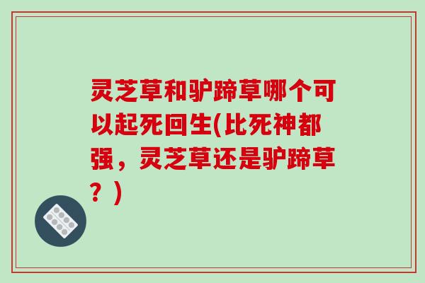 灵芝草和驴蹄草哪个可以起死回生(比死神都强,灵芝草还是驴蹄草?)-第1张图片-破壁灵芝孢子粉研究指南 灵芝草和驴蹄草哪个可以起死回生(比死神都强,灵芝草还是驴蹄草?)-第1张图片-破壁灵芝孢子粉研究指南