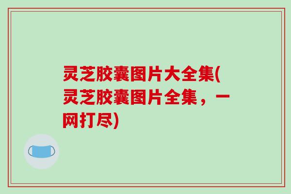 灵芝胶囊图片大全集(灵芝胶囊图片全集,一网打尽)-第1张图片-破壁灵芝孢子粉研究指南 灵芝胶囊图片大全集(灵芝胶囊图片全集,一网打尽)-第1张图片-破壁灵芝孢子粉研究指南