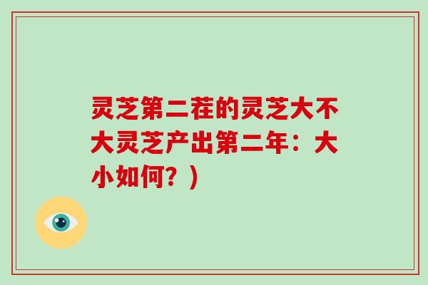灵芝第二茬的灵芝大不大灵芝产出第二年：大小如何？)-第1张图片-破壁灵芝孢子粉研究指南