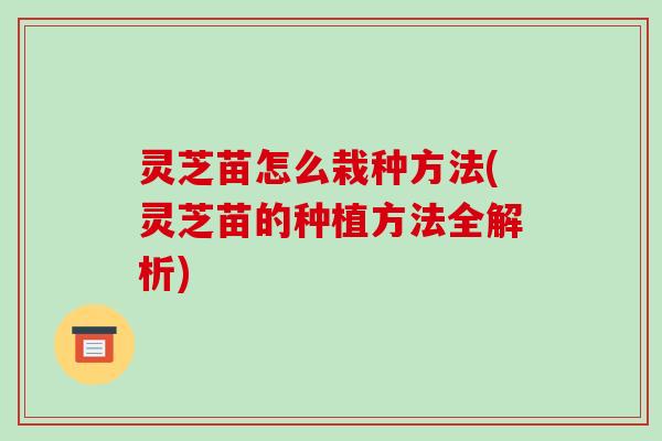 灵芝苗怎么栽种方法(灵芝苗的种植方法全解析)-第1张图片-破壁灵芝孢子粉研究指南