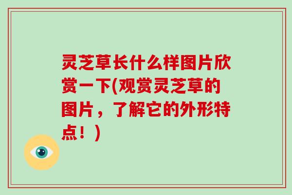 灵芝草长什么样图片欣赏一下(观赏灵芝草的图片,了解它的外形特点!)-第1张图片-破壁灵芝孢子粉研究指南 灵芝草长什么样图片欣赏一下(观赏灵芝草的图片,了解它的外形特点!)-第1张图片-破壁灵芝孢子粉研究指南
