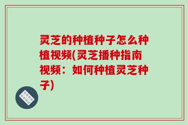 灵芝的种植种子怎么种植视频(灵芝播种指南视频:如何种植灵芝种子)-第1张图片-破壁灵芝孢子粉研究指南 灵芝的种植种子怎么种植视频(灵芝播种指南视频:如何种植灵芝种子)-第1张图片-破壁灵芝孢子粉研究指南