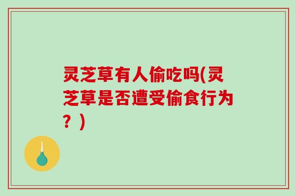 灵芝草有人偷吃吗(灵芝草是否遭受偷食行为?)-第1张图片-破壁灵芝孢子粉研究指南 灵芝草有人偷吃吗(灵芝草是否遭受偷食行为?)-第1张图片-破壁灵芝孢子粉研究指南