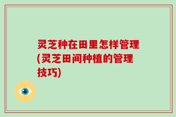 灵芝种在田里怎样管理(灵芝田间种植的管理技巧)-第1张图片-破壁灵芝孢子粉研究指南 灵芝种在田里怎样管理(灵芝田间种植的管理技巧)-第1张图片-破壁灵芝孢子粉研究指南