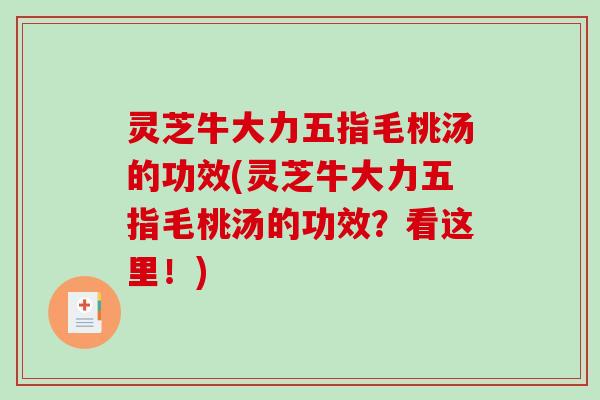 灵芝牛大力五指毛桃汤的功效(灵芝牛大力五指毛桃汤的功效?看这里!)-第1张图片-破壁灵芝孢子粉研究指南 灵芝牛大力五指毛桃汤的功效(灵芝牛大力五指毛桃汤的功效?看这里!)-第1张图片-破壁灵芝孢子粉研究指南