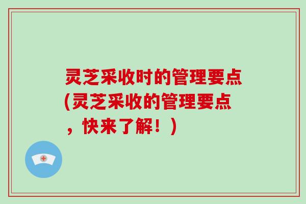 灵芝采收时的管理要点(灵芝采收的管理要点,快来了解!)-第1张图片-破壁灵芝孢子粉研究指南 灵芝采收时的管理要点(灵芝采收的管理要点,快来了解!)-第1张图片-破壁灵芝孢子粉研究指南