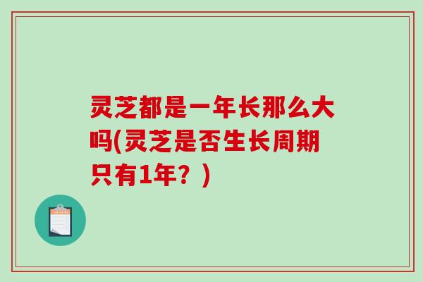 灵芝都是一年长那么大吗(灵芝是否生长周期只有1年?)-第1张图片-破壁灵芝孢子粉研究指南 灵芝都是一年长那么大吗(灵芝是否生长周期只有1年?)-第1张图片-破壁灵芝孢子粉研究指南