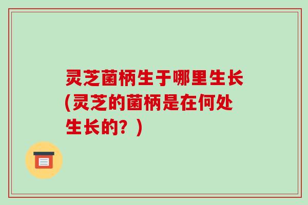 灵芝菌柄生于哪里生长(灵芝的菌柄是在何处生长的?)-第1张图片-破壁灵芝孢子粉研究指南 灵芝菌柄生于哪里生长(灵芝的菌柄是在何处生长的?)-第1张图片-破壁灵芝孢子粉研究指南