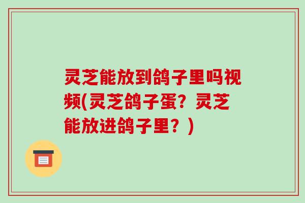 灵芝能放到鸽子里吗视频(灵芝鸽子蛋?灵芝能放进鸽子里?)-第1张图片-破壁灵芝孢子粉研究指南 灵芝能放到鸽子里吗视频(灵芝鸽子蛋?灵芝能放进鸽子里?)-第1张图片-破壁灵芝孢子粉研究指南