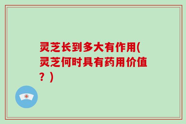 灵芝长到多大有作用(灵芝何时具有药用价值?)-第1张图片-破壁灵芝孢子粉研究指南 灵芝长到多大有作用(灵芝何时具有药用价值?)-第1张图片-破壁灵芝孢子粉研究指南