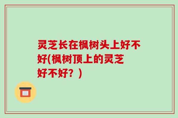 灵芝长在枫树头上好不好(枫树顶上的灵芝 好不好?)-第1张图片-破壁灵芝孢子粉研究指南 灵芝长在枫树头上好不好(枫树顶上的灵芝 好不好?)-第1张图片-破壁灵芝孢子粉研究指南