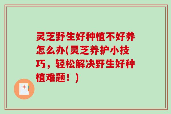 灵芝野生好种植不好养怎么办(灵芝养护小技巧,轻松解决野生好种植难题!)-第1张图片-破壁灵芝孢子粉研究指南 灵芝野生好种植不好养怎么办(灵芝养护小技巧,轻松解决野生好种植难题!)-第1张图片-破壁灵芝孢子粉研究指南