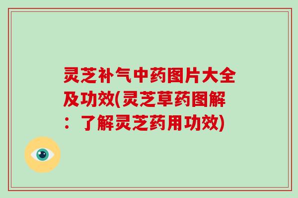 灵芝补气中药图片大全及功效(灵芝草药图解：了解灵芝药用功效)-第1张图片-破壁灵芝孢子粉研究指南