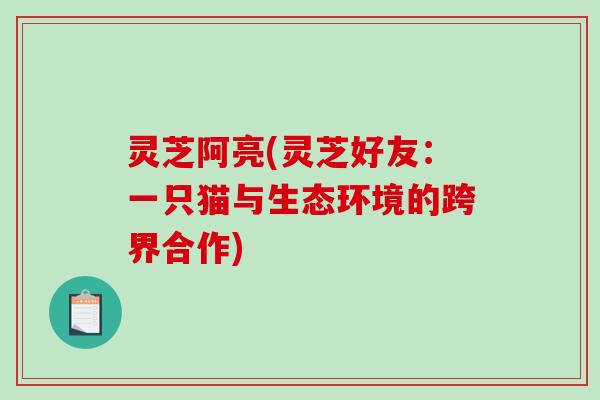 灵芝阿亮(灵芝好友：一只猫与生态环境的跨界合作)-第1张图片-破壁灵芝孢子粉研究指南