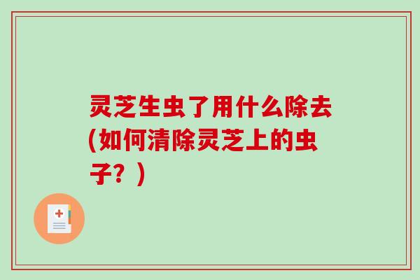 灵芝生虫了用什么除去(如何清除灵芝上的虫子?)-第1张图片-破壁灵芝孢子粉研究指南 灵芝生虫了用什么除去(如何清除灵芝上的虫子?)-第1张图片-破壁灵芝孢子粉研究指南