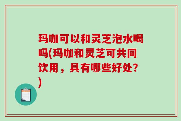 玛咖可以和灵芝泡水喝吗(玛咖和灵芝可共同饮用,具有哪些好处?)-第1张图片-破壁灵芝孢子粉研究指南 玛咖可以和灵芝泡水喝吗(玛咖和灵芝可共同饮用,具有哪些好处?)-第1张图片-破壁灵芝孢子粉研究指南