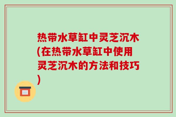 热带水草缸中灵芝沉木(在热带水草缸中使用灵芝沉木的方法和技巧)-第1张图片-破壁灵芝孢子粉研究指南 热带水草缸中灵芝沉木(在热带水草缸中使用灵芝沉木的方法和技巧)-第1张图片-破壁灵芝孢子粉研究指南