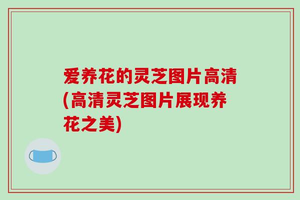 爱养花的灵芝图片高清(高清灵芝图片展现养花之美)-第1张图片-破壁灵芝孢子粉研究指南