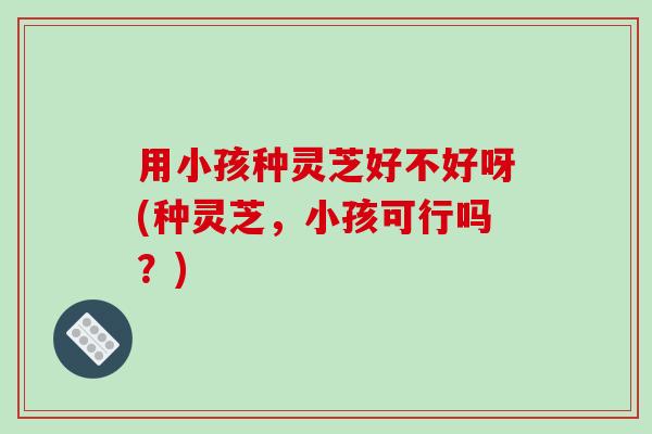用小孩种灵芝好不好呀(种灵芝，小孩可行吗？)-第1张图片-破壁灵芝孢子粉研究指南