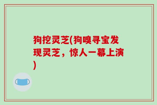 狗挖灵芝(狗嗅寻宝发现灵芝,惊人一幕上演)-第1张图片-破壁灵芝孢子粉研究指南 狗挖灵芝(狗嗅寻宝发现灵芝,惊人一幕上演)-第1张图片-破壁灵芝孢子粉研究指南