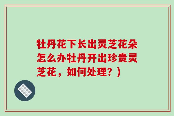 牡丹花下长出灵芝花朵怎么办牡丹开出珍贵灵芝花,如何处理?)-第1张图片-破壁灵芝孢子粉研究指南 牡丹花下长出灵芝花朵怎么办牡丹开出珍贵灵芝花,如何处理?)-第1张图片-破壁灵芝孢子粉研究指南