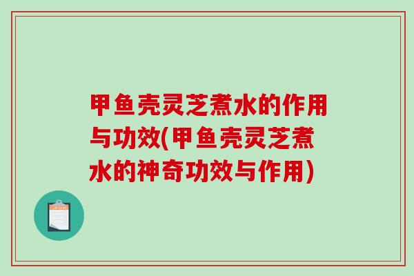 甲鱼壳灵芝煮水的作用与功效(甲鱼壳灵芝煮水的神奇功效与作用)-第1张图片-破壁灵芝孢子粉研究指南 甲鱼壳灵芝煮水的作用与功效(甲鱼壳灵芝煮水的神奇功效与作用)-第1张图片-破壁灵芝孢子粉研究指南