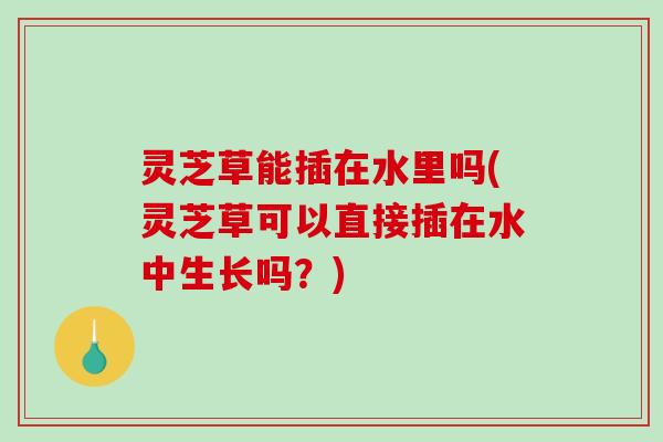 灵芝草能插在水里吗(灵芝草可以直接插在水中生长吗？)-第1张图片-破壁灵芝孢子粉研究指南
